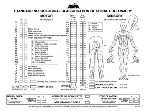 asia scale spinal cord