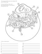 ask a biologist coloring page Doc