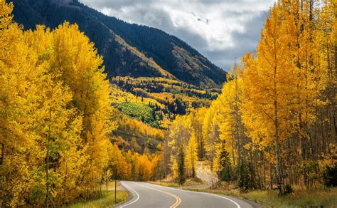 aspen colorado fall foliage