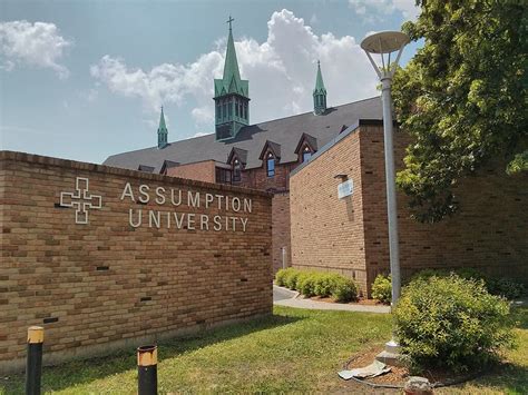 assumption university division