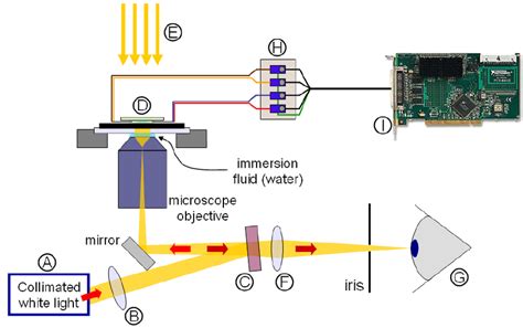 astronomy from wide field imaging astronomy from wide field imaging Reader