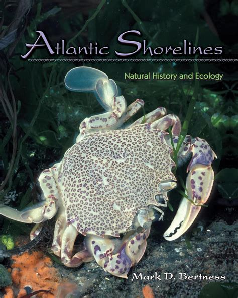 atlantic shorelines natural history and ecology Kindle Editon