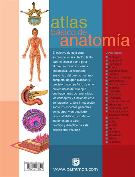atlas basico de anatomia atlas basicos Epub