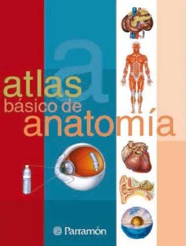 atlas basico de anatomia atlas basicos Epub