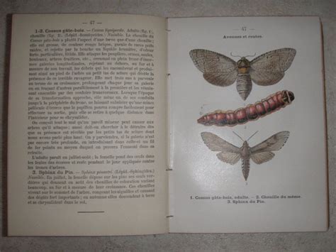 atlas insectes france utiles nuisibles Epub