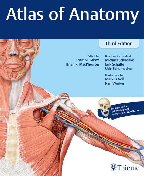 atlas of human anatomy atlas of human anatomy Reader