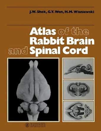 atlas of the rabbit brain and spinal cord pdf Epub