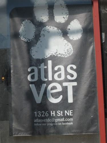 atlas vet h st