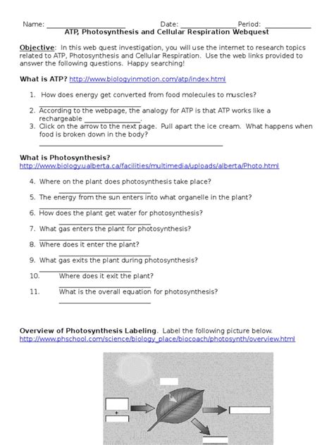 atp photosynthesis and cellular respiration webquest answers PDF