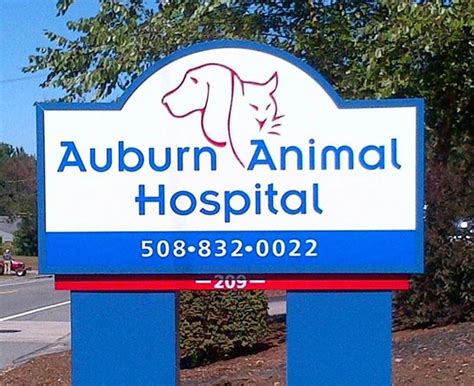 auburn animal hospital ma