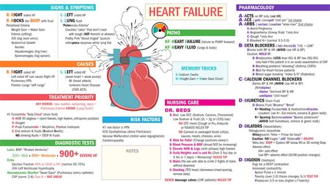 audio study guide med surg Doc