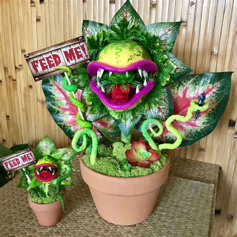 audrey 2 plant