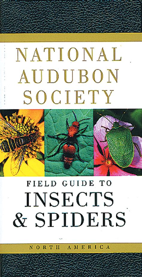 audubon field guide to insects PDF