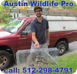 austin travis county animal services