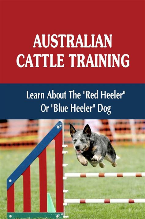australian cattle training guide include PDF
