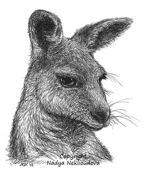 australian pictures drawn with pen and pencil Epub