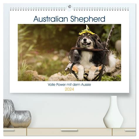 australian shepherd 2016 wandkalender quer Epub