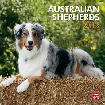 australian shepherds 2016 square 12x12 multilingual edition Epub