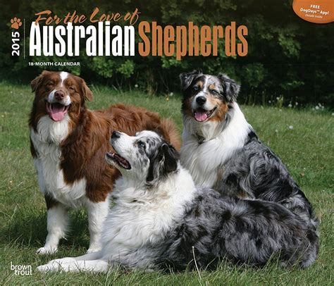australian shepherds multilingual edition Reader