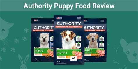 authority puppy food reviews