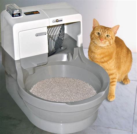 automatic cat litter