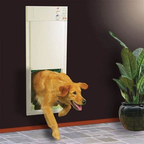 automatic doggie door