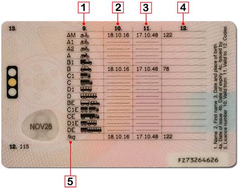 automatic driving license code Reader