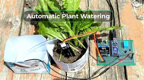 automatic plant irrigation system Doc