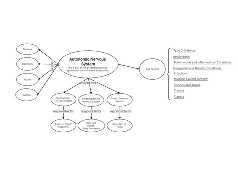 autonomic nervous system concept map Reader