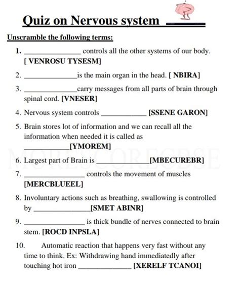autonomic nervous system quiz Kindle Editon
