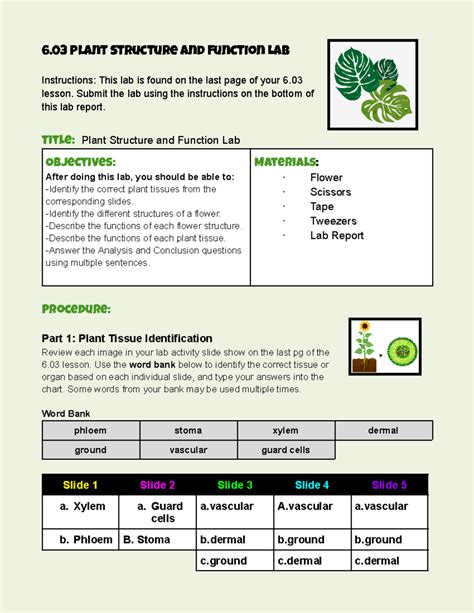 aventa learning plant structure exam answer key PDF