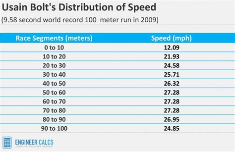 average speed human