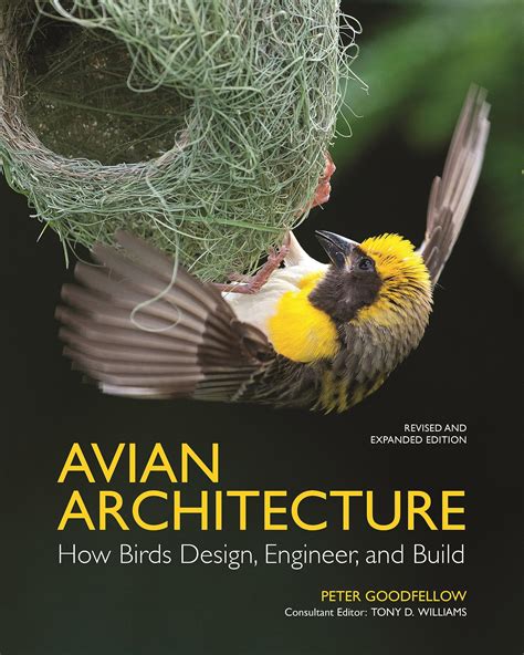 avian architecture how birds design engineer and build Doc