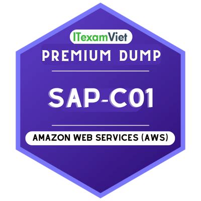 aws certified solutions architect dump Reader