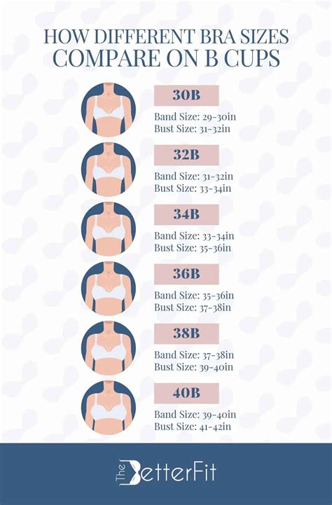 B Bra Size Chart