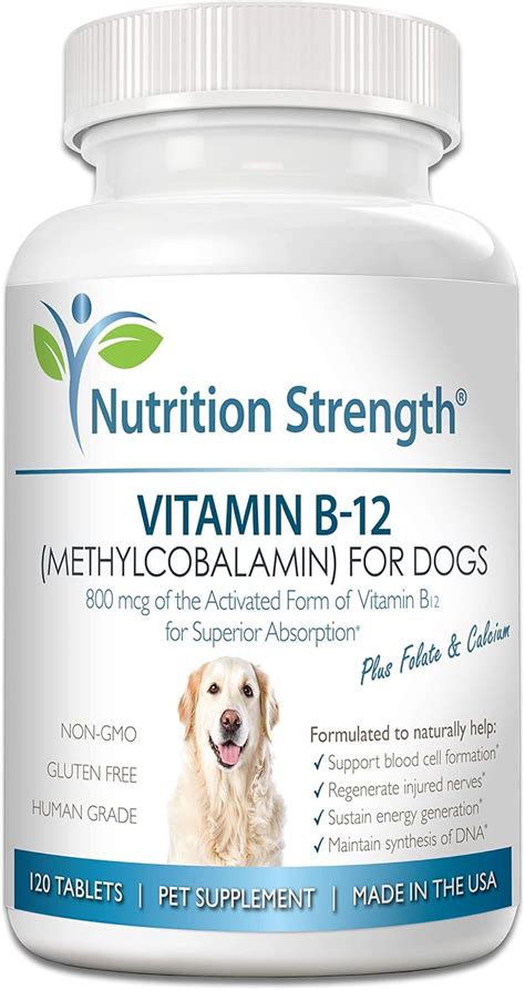 b12 for dogs