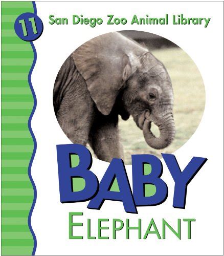 baby elephant san diego zoo animal library Reader