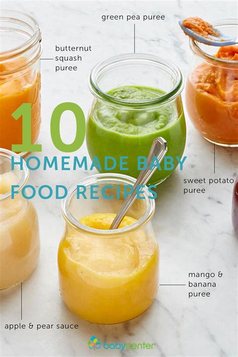 baby food recipes for the busy home cook Epub