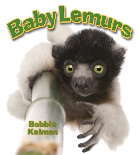 baby lemurs its fun to learn about baby animals Reader