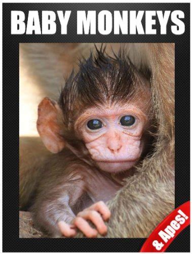 baby monkeys and apes photos and facts book for young readers Epub