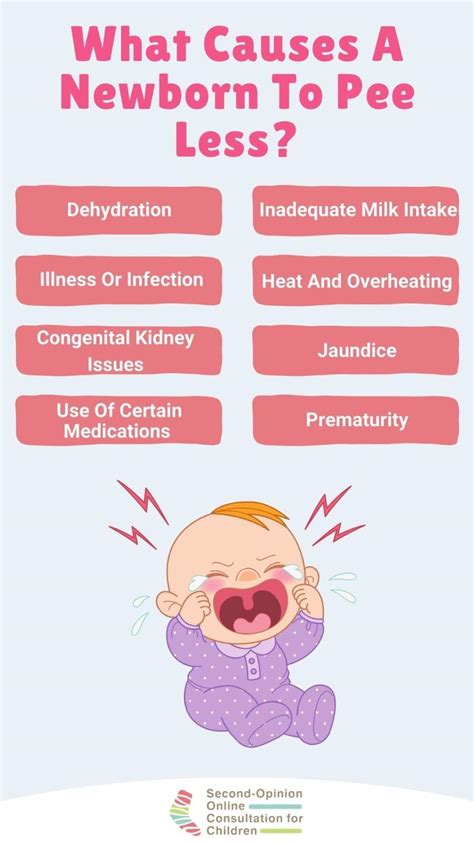 baby not passing urine for 6 hours