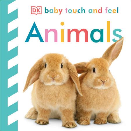 baby touch and feel pets baby touch and feel Reader