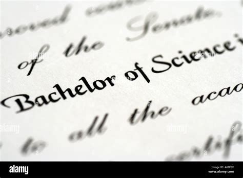 bachelor's degree in science