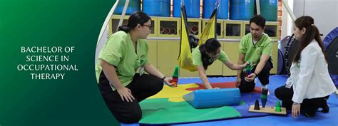 bachelor programs in occupational therapy