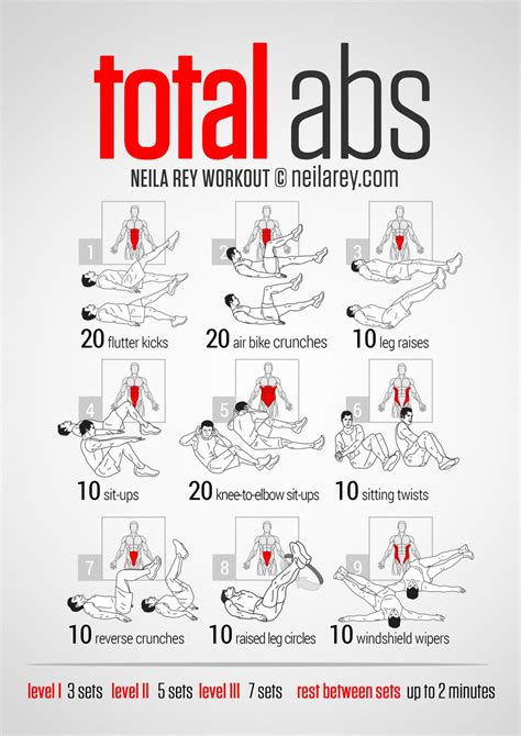 back and abs workout