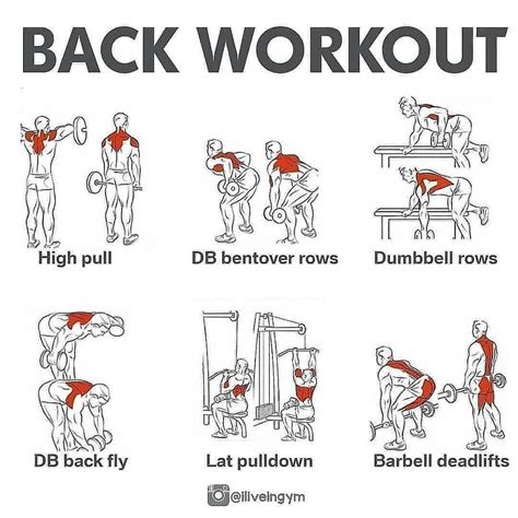 back workouts with dumbells