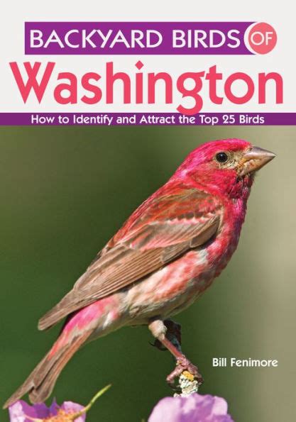 backyard birds of washington how to identify and attract the top 25 birds Epub