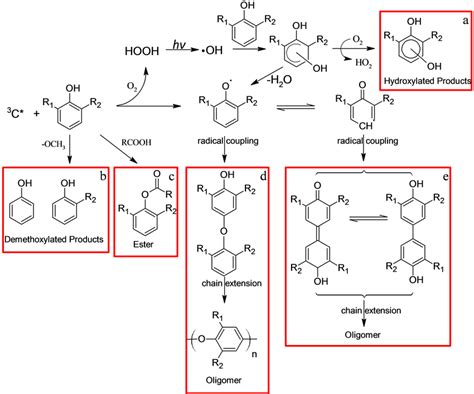 bacterial formation of hydroxylated aromatic compounds Epub