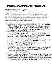 bacterial transformation virtual lab classzone answers PDF