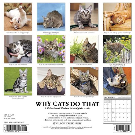 bad cat color page a day calendar 2016 Kindle Editon